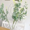 Faux eucalyptus stem - Image 3