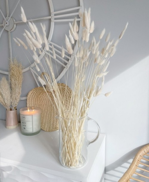 Beautiful bunch of dried lagurus (bunny tails) - Image 4
