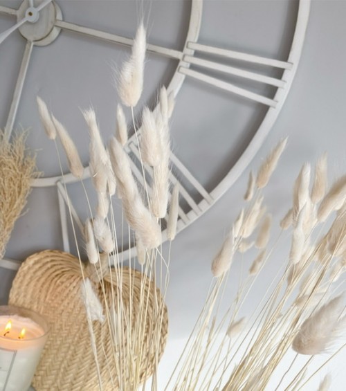 Beautiful bunch of dried lagurus (bunny tails) - Image 3