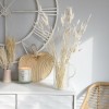 Beautiful bunch of dried lagurus (bunny tails)