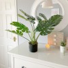 Huge potted faux Monstera 'palm leaf' plant