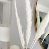 Soft fluffy 5 stems of pampas grass - Image 3