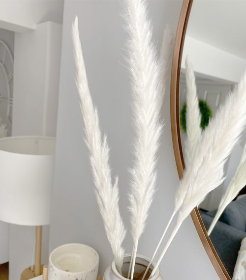 Soft fluffy 5 stems of pampas grass - Image 3