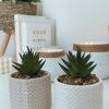 Little taupe textured pot with faux succulent - Image 2