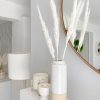 Soft fluffy 5 stems of pampas grass