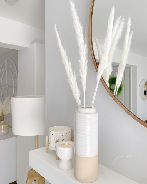 Soft fluffy 5 stems of pampas grass