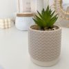 Little taupe textured pot with faux succulent