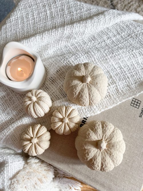 Pumpkin - Beige - Image 3