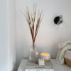 Bushy cream foxtail stem - Image 3