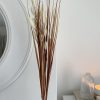 Bushy cream foxtail stem - Image 4