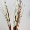 Bushy cream foxtail stem - Image 5