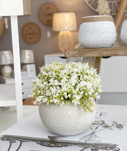 Small concrete pot with grey and white foliage - Image 4