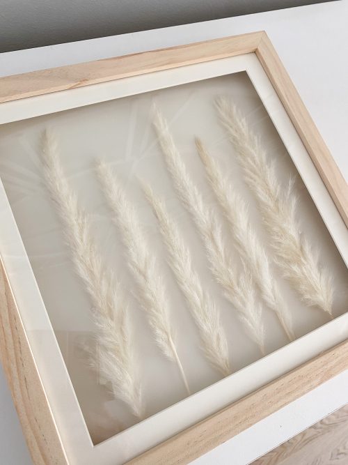 Dried pampas framed print - Style 1 - Image 3