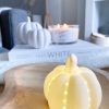 Small light up LED pumpkin