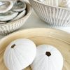 White decorative sea urchin - Image 3