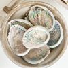 Small pearlised abalone shell
