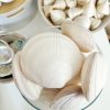 Large white mussel shell - Image 2