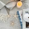 Little decorative star fish - Image 3