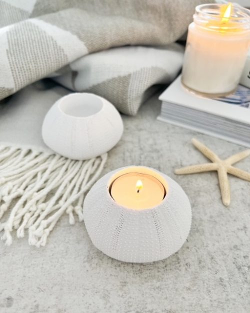 Beautiful decorative sea urchin tealight holder