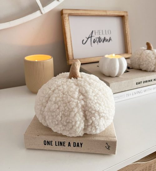 Small and medium softest pumpkin - 2 Sizes available - Image 2
