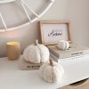 Small and medium softest pumpkin - 2 Sizes available