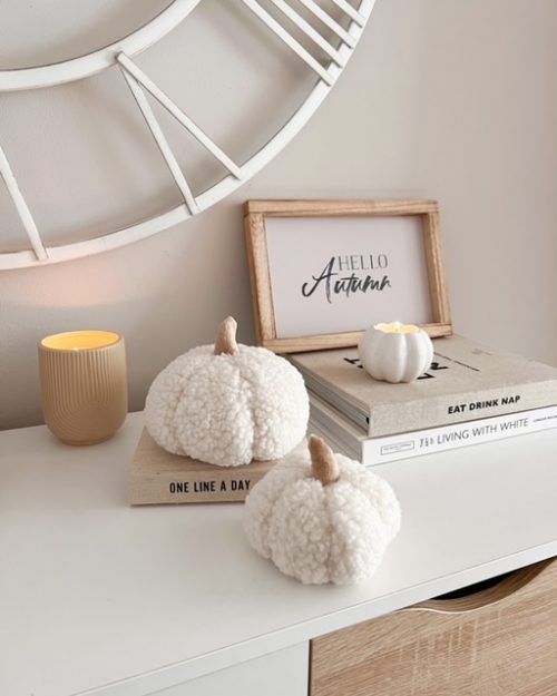 Small and medium softest pumpkin - 2 Sizes available