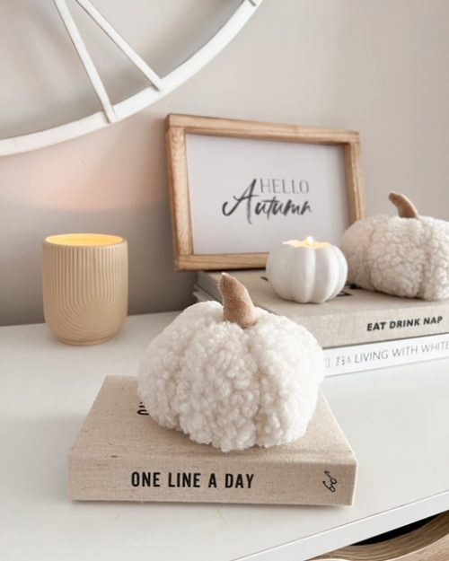 Small and medium softest pumpkin - 2 Sizes available - Image 3
