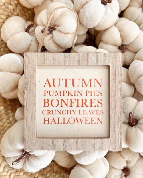 Autumn framed plaque