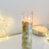 Festive Vanilla Spice glass tube candle