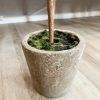 Faux potted olive tree - Image 3