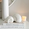 Small light up ceramic decorative ammonite shell - Image 2