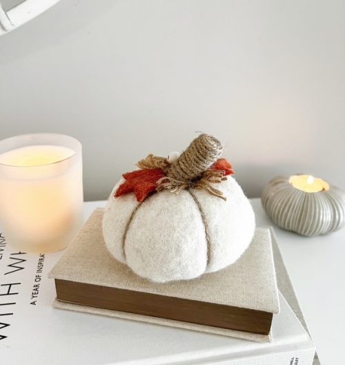 Felt pumpkin with stalk and leaves