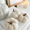 Pretty small velvet pumpkin - Image 3