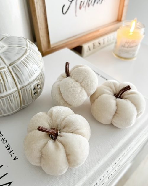 Pretty small velvet pumpkin - Image 3
