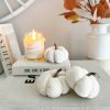 Pretty small velvet pumpkin - Image 4