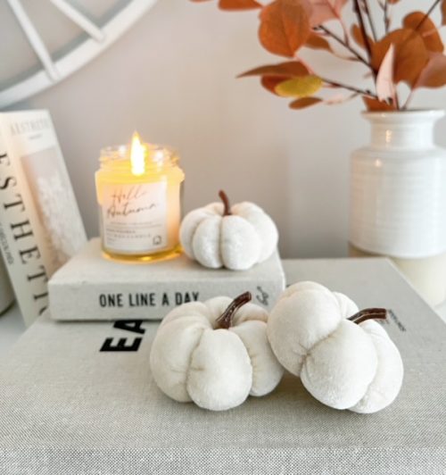 Pretty small velvet pumpkin - Image 4