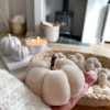 Pretty small velvet pumpkin - Image 5