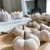 Pretty small velvet pumpkin - Image 2