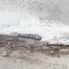 Drift Framed Canvas - Image 5