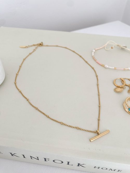Pretty Tbar necklace