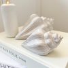 Medium ceramic decorative shell - Image 2