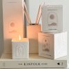 Boxed palm tree ceramic diffuser - Citrus & Musk - Image 2